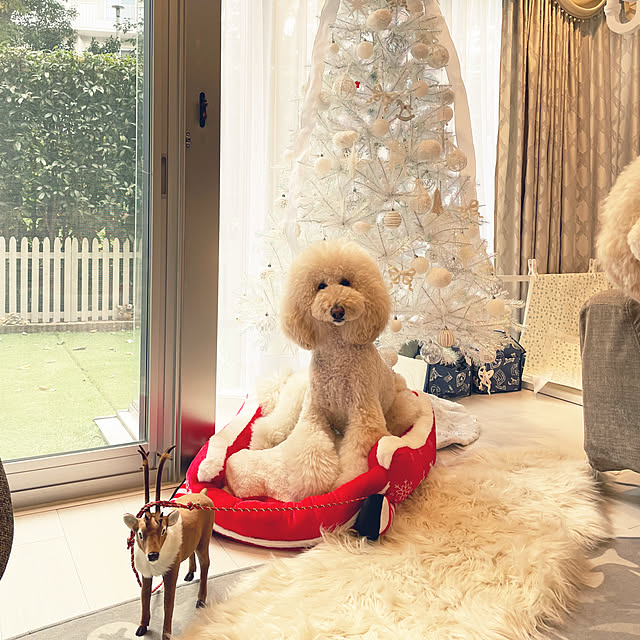 nackeyさんの部屋