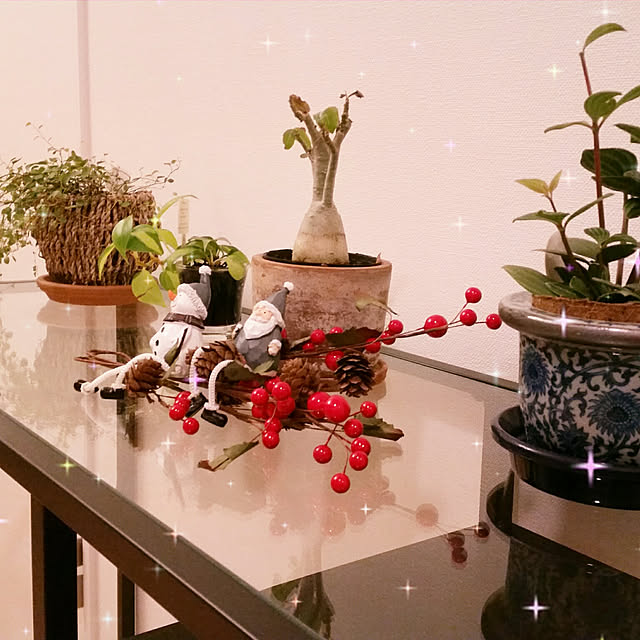 棚/100均/クリスマスのインテリア実例 - 2017-11-08 15:13:59