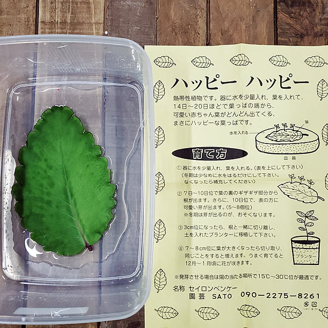 Daiさんの実例写真