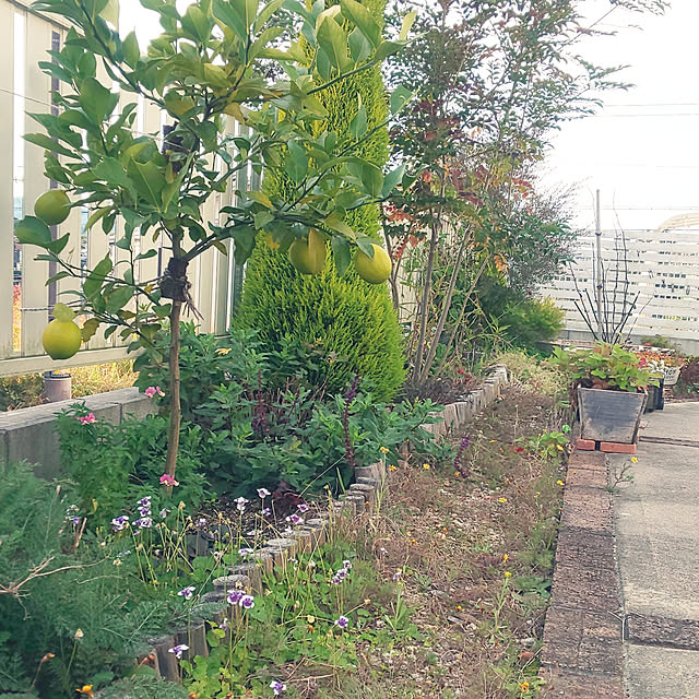 A.hさんの実例写真