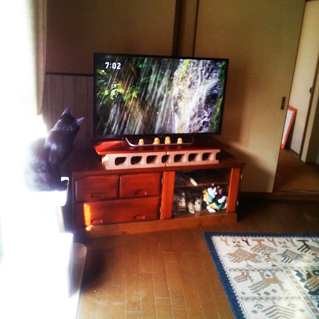 tomopさんの実例写真