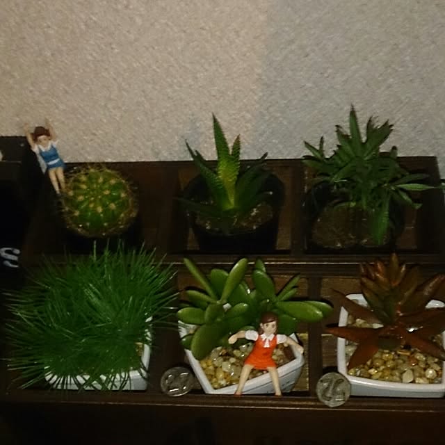 gen524さんの実例写真