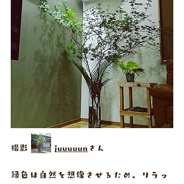 juuuuunさんの実例写真