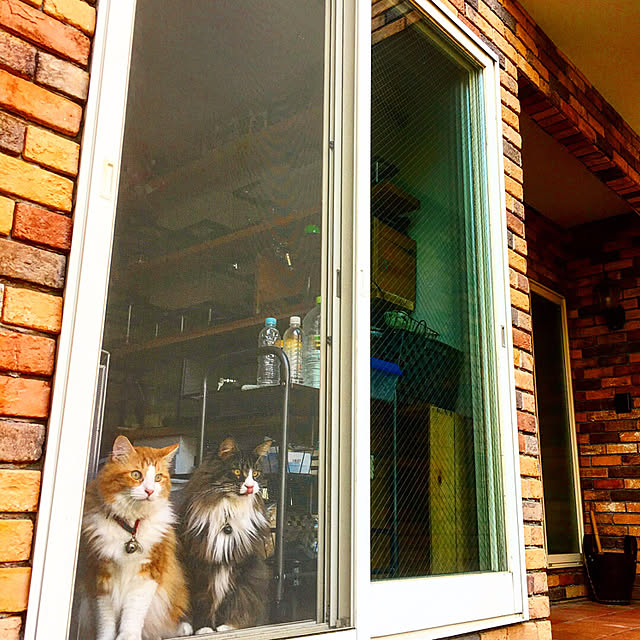 rby88さんの実例写真