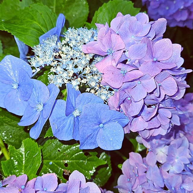 mocomocoさんの実例写真