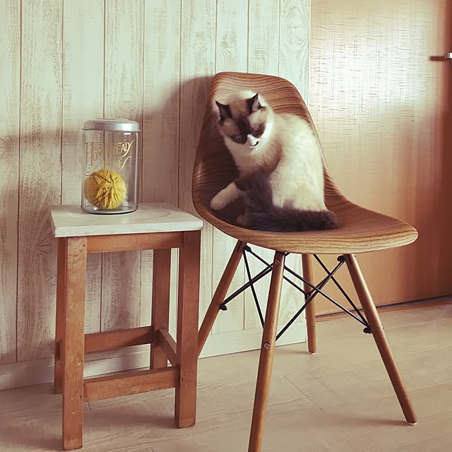 niko-25さんの実例写真