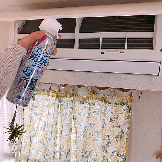 mikiteacupさんの実例写真