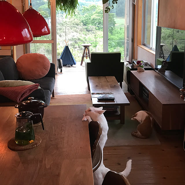 sakurasakuさんの実例写真