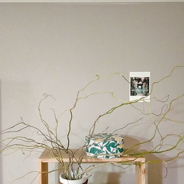 ukiukiさんの実例写真