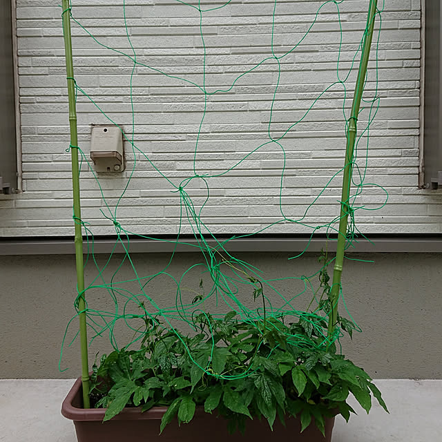totoroさんの実例写真