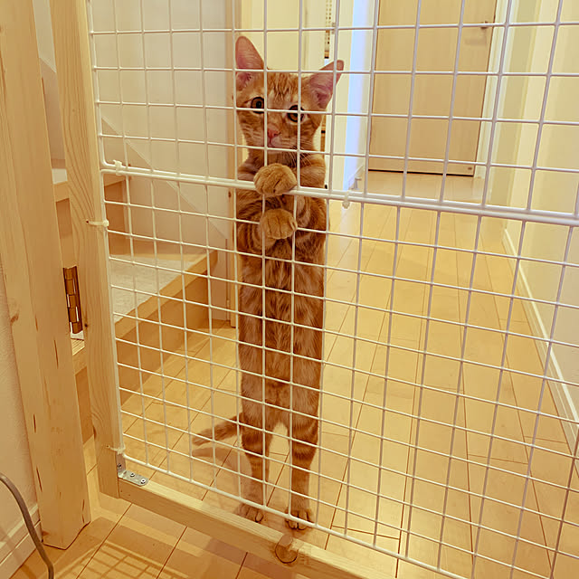 kumiさんの実例写真