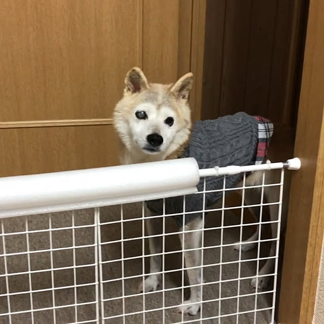 myonghaeさんの実例写真