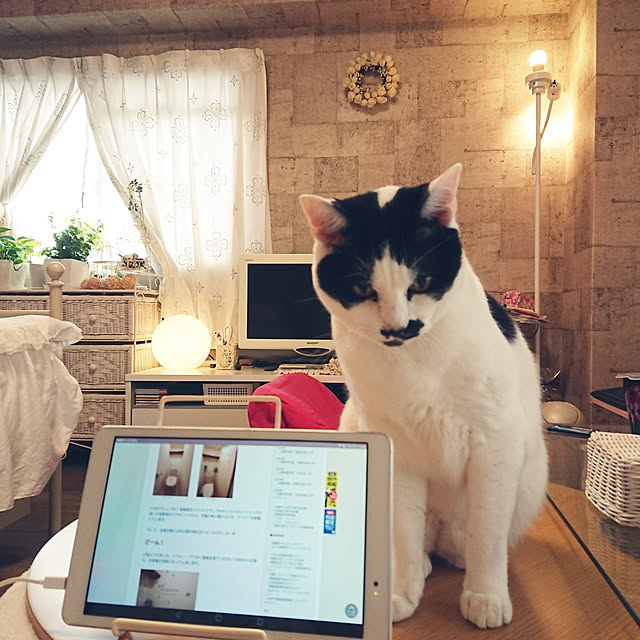 asuminさんの実例写真