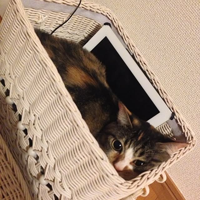 saqura_apartment101さんの実例写真