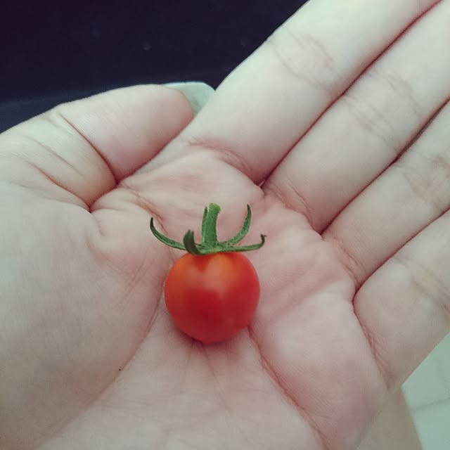 mkさんの実例写真