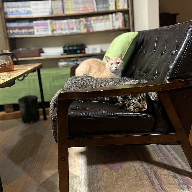 mikan161さんの実例写真