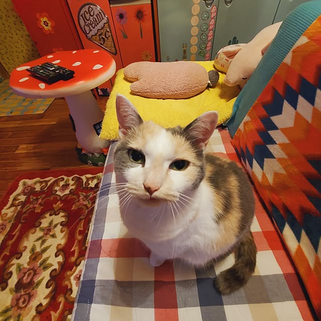 kumutanさんの部屋