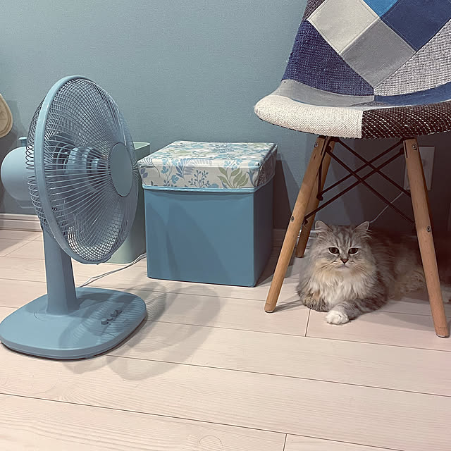 akimamさんの実例写真
