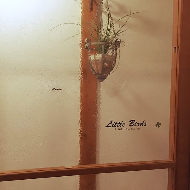 jasmin1223さんの実例写真