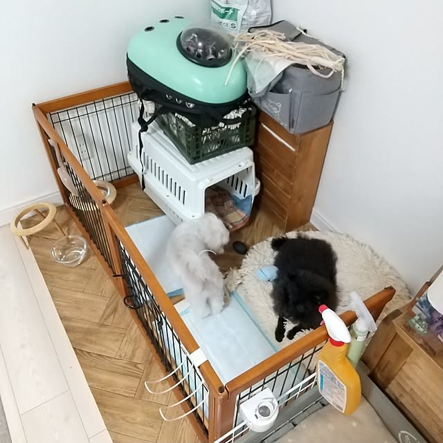 tomomiさんの部屋