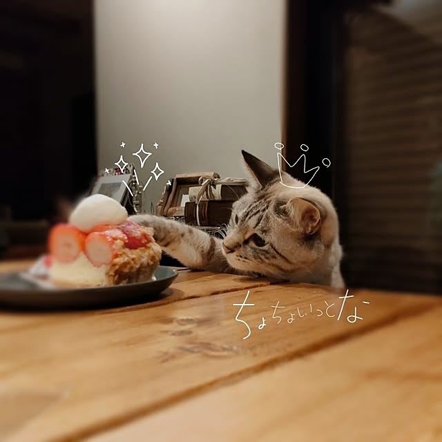 Atelier_tamakiさんの部屋