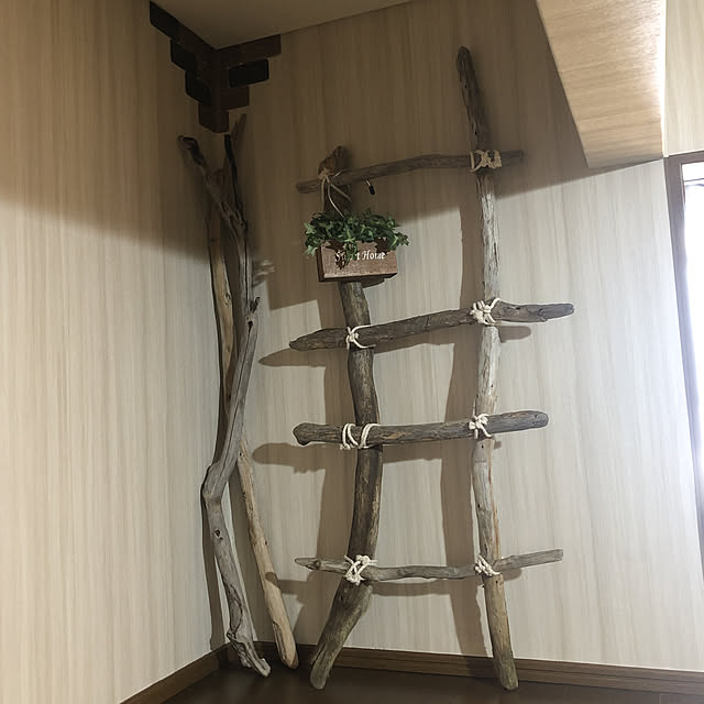 Aimerさんの実例写真