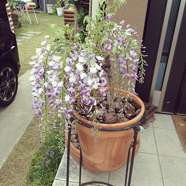 naoさんの実例写真