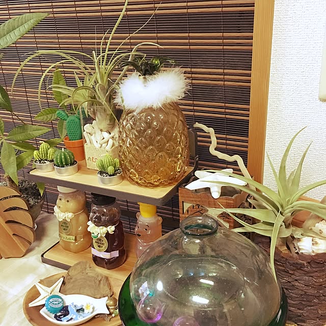 momomoさんの実例写真