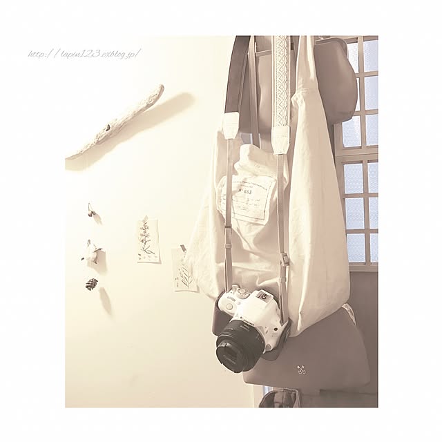 Lapinさんの実例写真