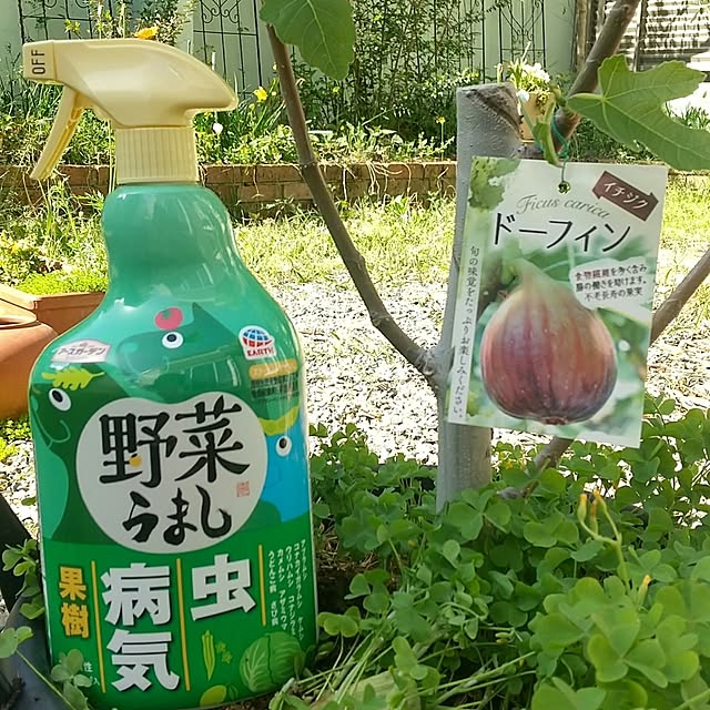 Rさんの実例写真