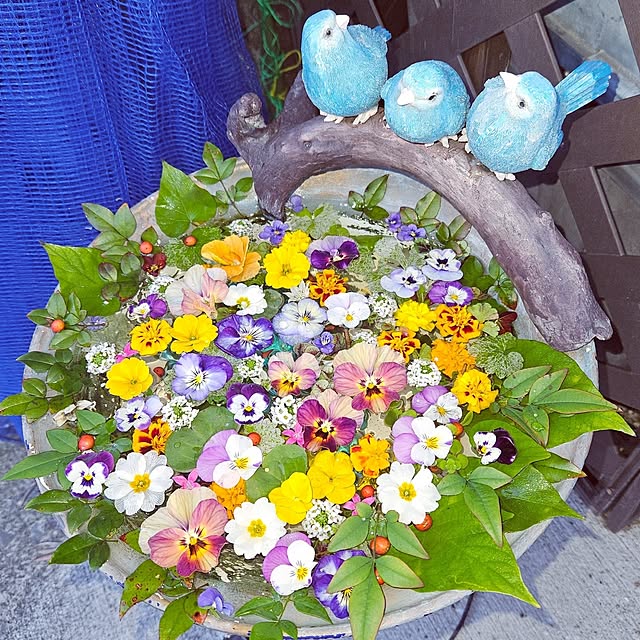 mocomocoさんの実例写真