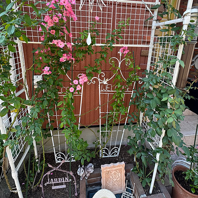 RoseLife5818さんの実例写真