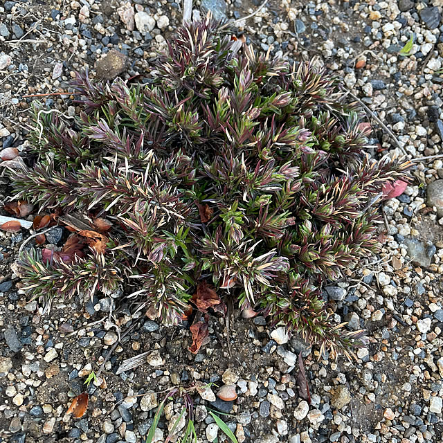 shin0719さんの部屋