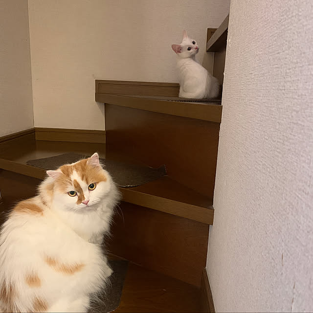 keiさんの実例写真