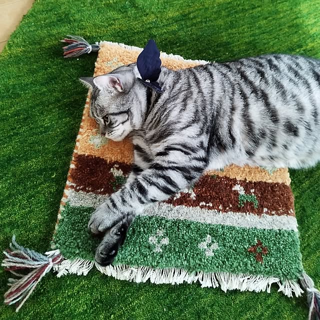 hiro3さんの部屋