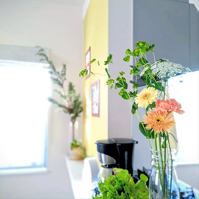 .Haさんの実例写真