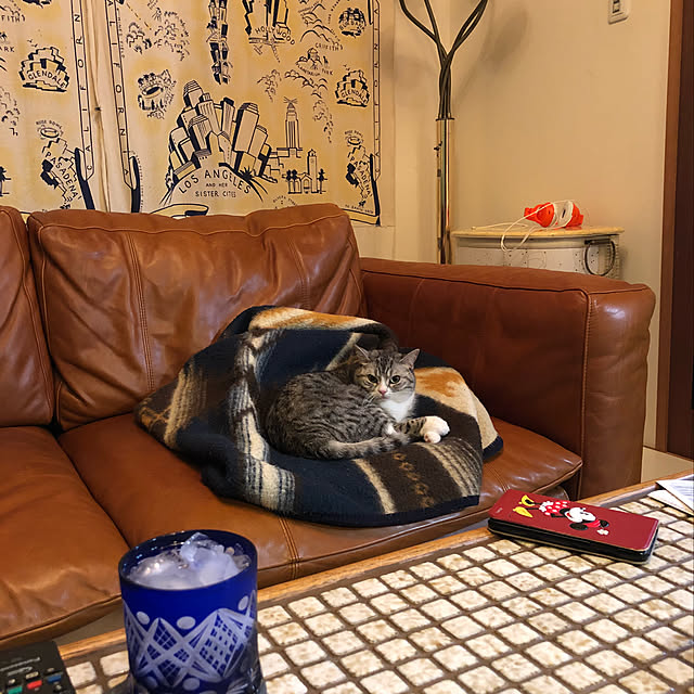 Shojiさんの実例写真