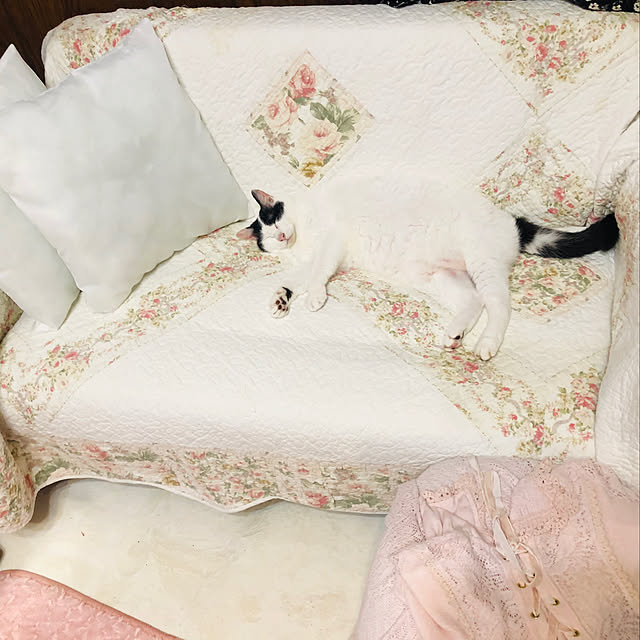 yuさんの実例写真