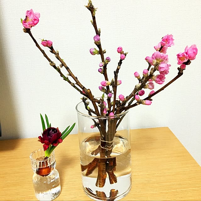 fruitsparfait33さんの実例写真