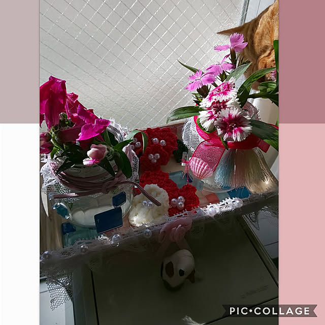 toramamaさんの実例写真