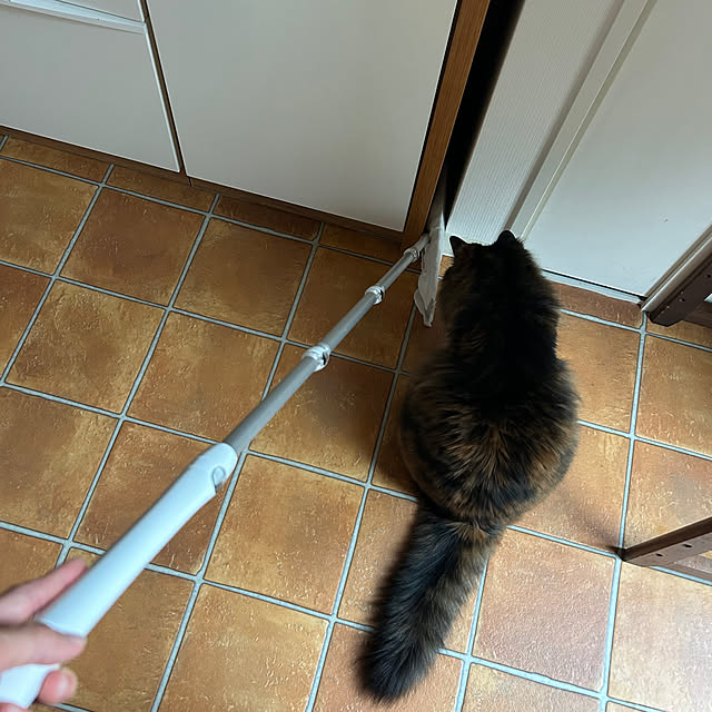 mikomaruさんの実例写真