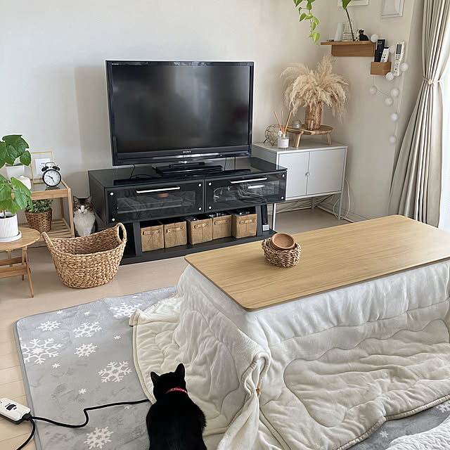 nekomiさんの部屋