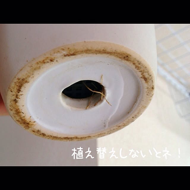 L.さんの実例写真