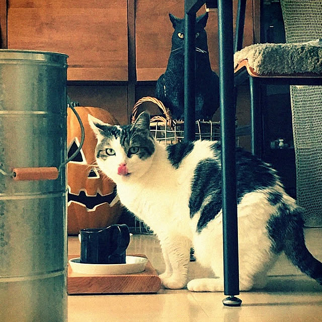 yukiさんの実例写真