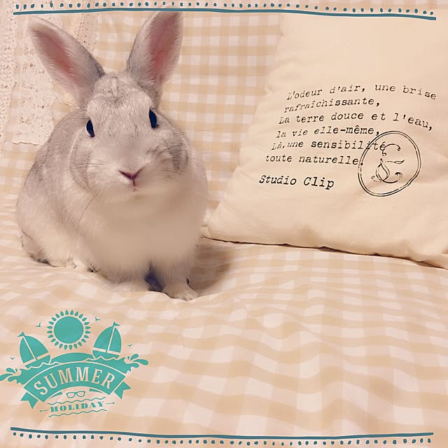 mizutamaさんの実例写真
