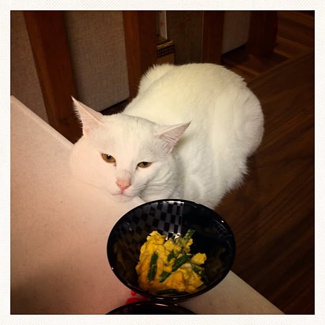 mameさんの実例写真