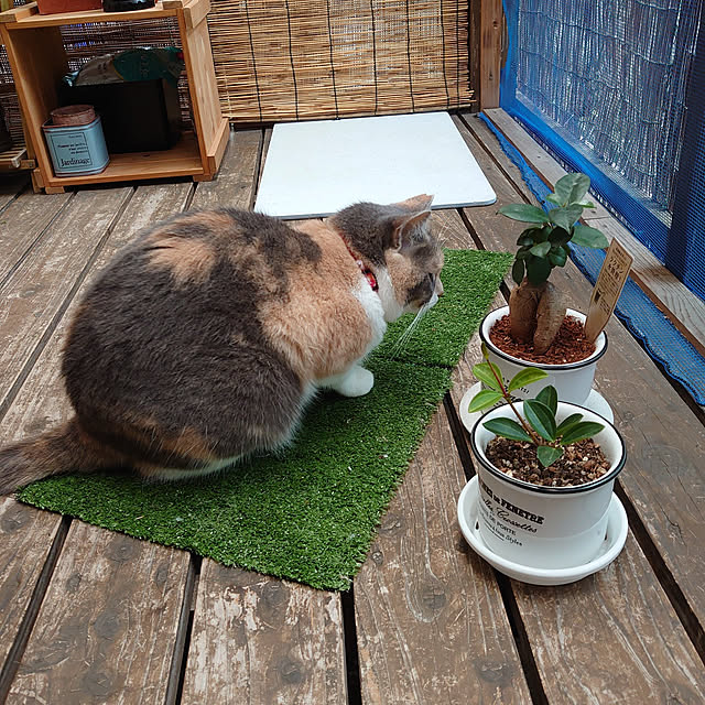 fukuさんの実例写真
