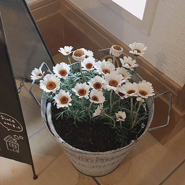megooさんの実例写真