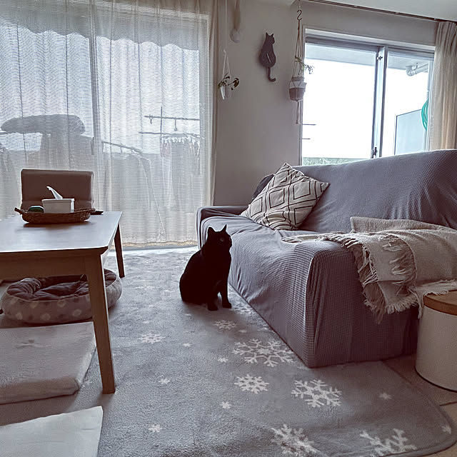 nekomiさんの部屋