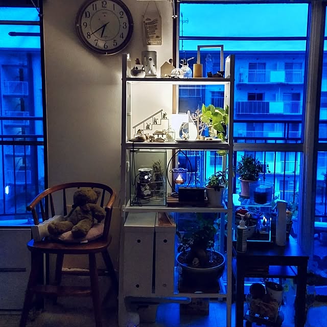 mi-saさんの部屋